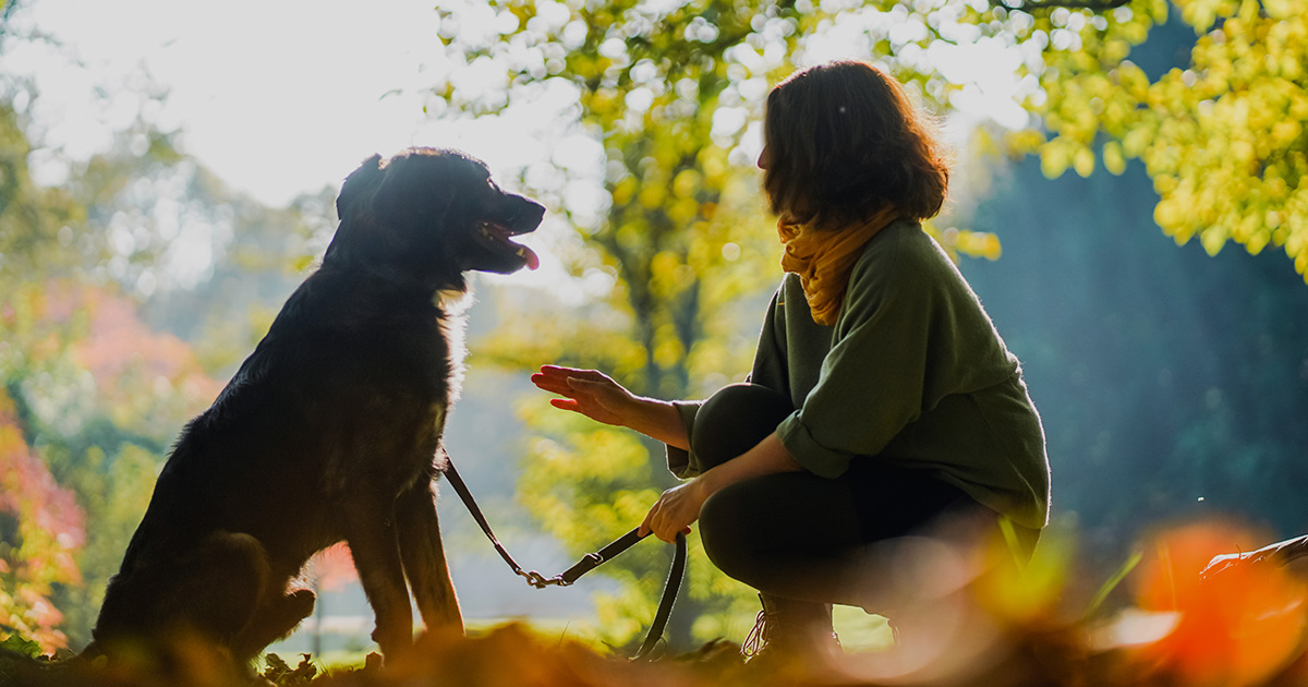 Dog trainer using a hand signal while kneeling to command a dog