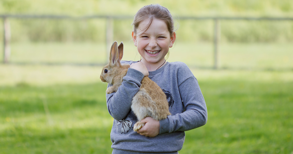 Young girl holding a rabbit at an animal party 