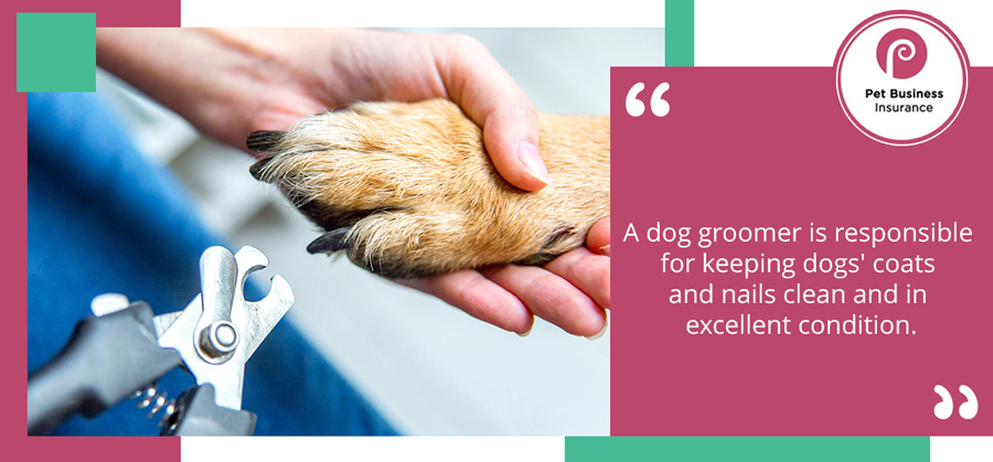 A dog groomer is responsible for keeping dogs' coats and nails clean and in excellent condition.