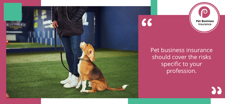 Dog sitting obediently at the heel of a dog trainer