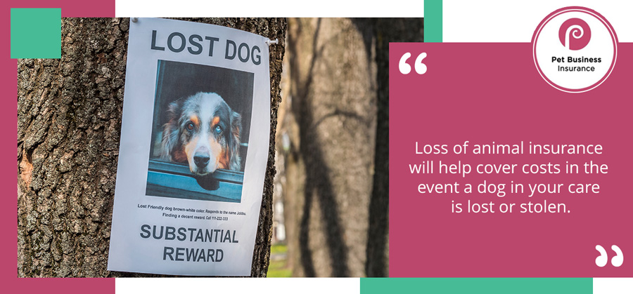 Loss of animal insurance will help cover costs in the event a dog in your care is lost or stolen
