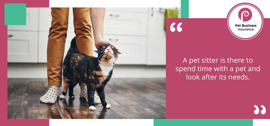 Pet sitter stroking cat in client’s kitchen