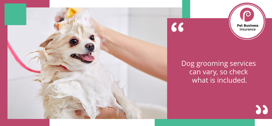 Small dog having fur washed as part of a suite of services which determine dog grooming costs