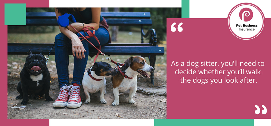 Woman resting on park bench while holding leads of three dogs