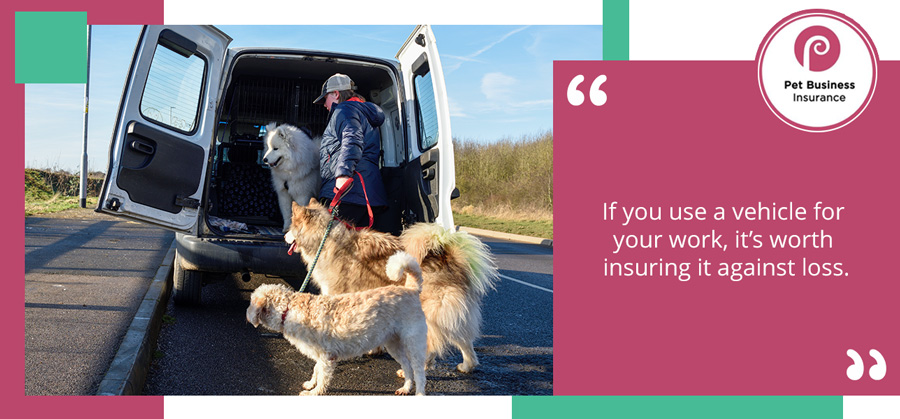 Dogs being loaded into a van used to transport animals as part of a dog walking business