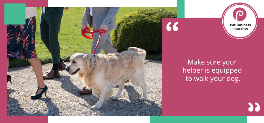 Dog being walked on church grounds, per the recommended routine for managing dogs at weddings