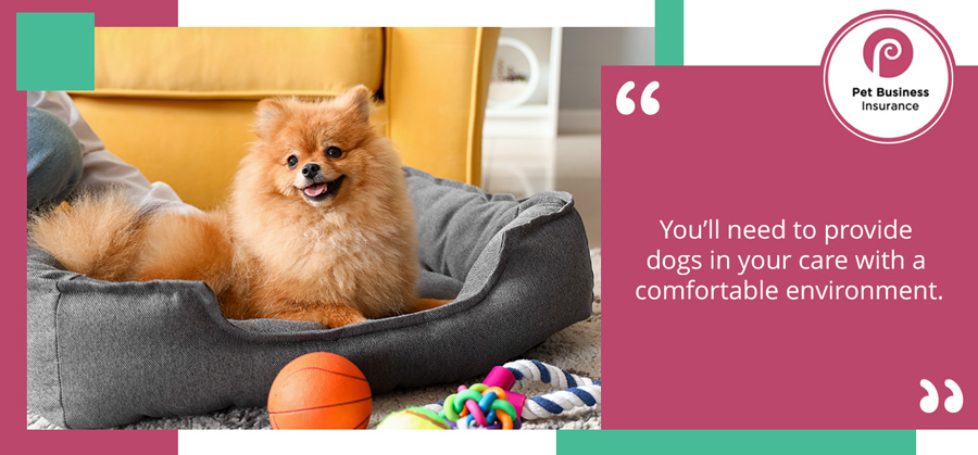 Pet Pomeranian in dog bed while boarding with dog sitter