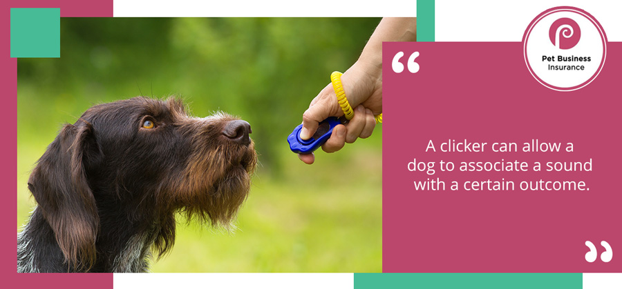 Dog being trained using the sound of a clicker