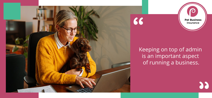 Woman using laptop to research how to become a dog sitter