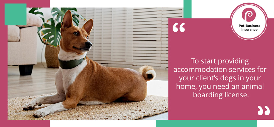 To start providing accommodation services for your client’s dogs in your home, you need an animal boarding license.