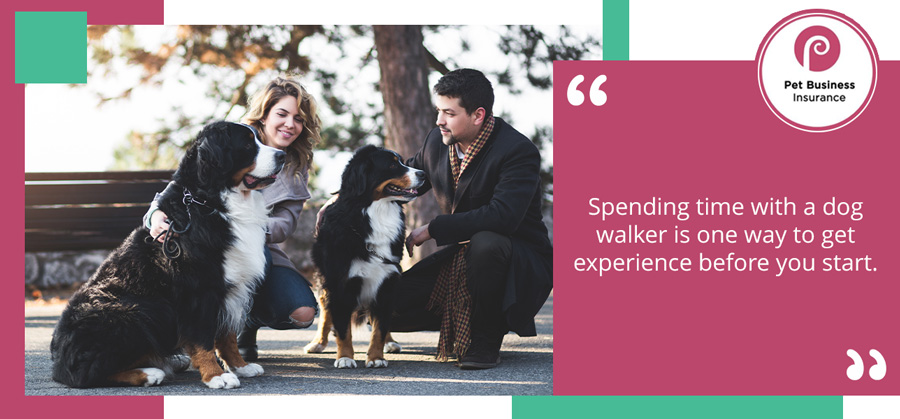 Person meeting with a dog walker to learn about their business