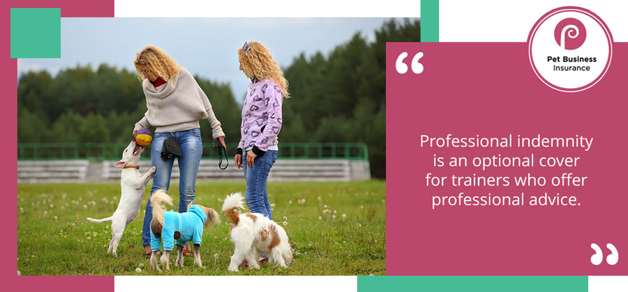 Dog trainer and client in field discussing the question 'Does pet insurance cover training?'