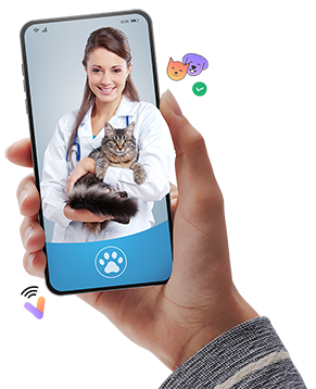 Vet on the Net Logo