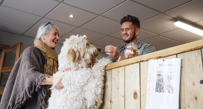 Kennel Insurance and Cattery Insurance. Buy Online. Kennel Insurance and Cattery Insurance. Buy Online.